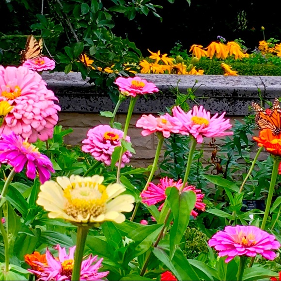 Meet your Posher. - Picture 1 of 1